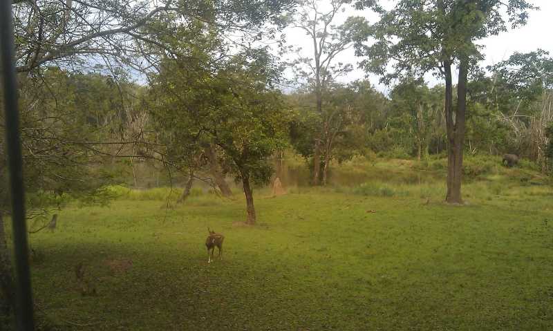 Back And Beyond - Nagarhole