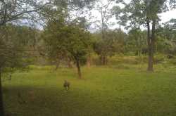 Back and beyond - Nagarhole