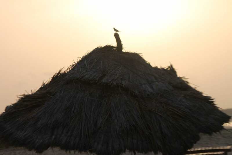 Back From A Weekend Party!!!