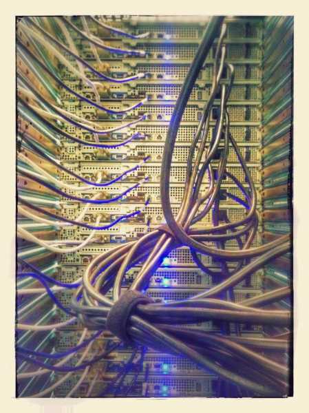 Back To Blogging: What To Expect