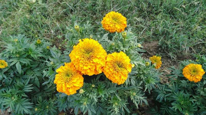 Back To The Rottine - Coffee With Mi