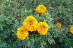 Back to the rottine - Coffee With Mi