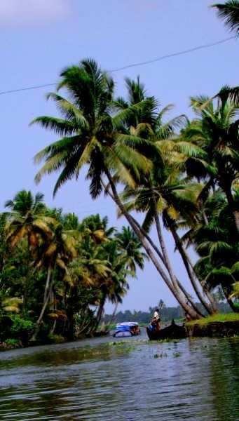 Backwaters Of Alleppey : Places In Kerala