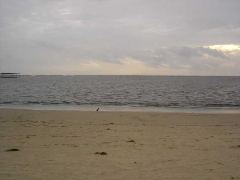 Backwaters Of Kerala