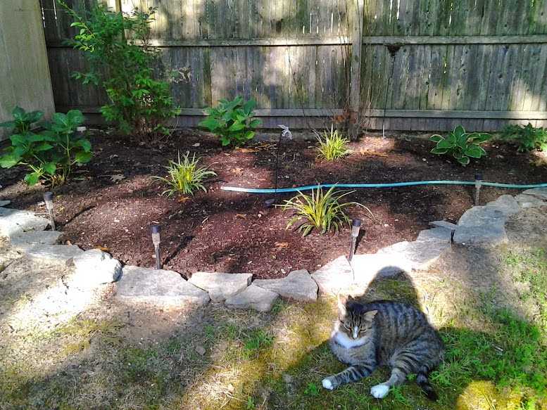 Backyard Garden Make Over