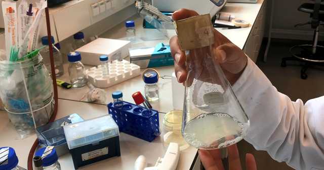 Bacteria As Living Factories For The Production Of Powerful Antibiotics