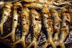 Baked Sardines Greek Style