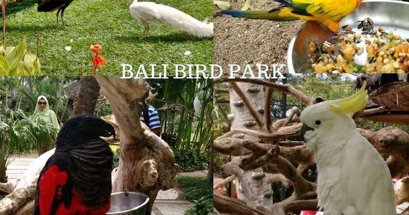 Bali Bird Park
