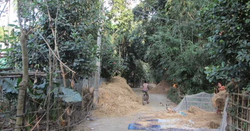 Bamboo Cluster Village - Assam