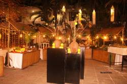 BananiVista: Le Jardin- Celebrating the Independence