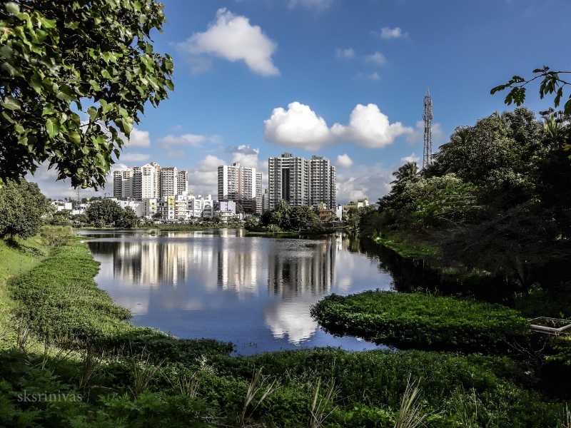 Bangalore Fights Back … The Story Of Puttenahalli Lake.