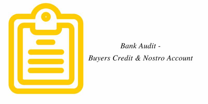 Bank Audit - Buyers Credit And Nostro Account