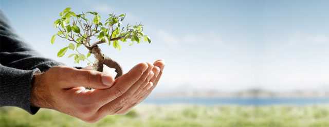 Bankers For Development-Better Without Hangovers From Their Banking Days