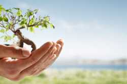 Bankers for Development-Better Without Hangovers from their Banking Days