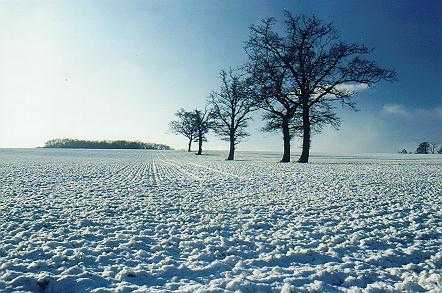 Barren Dreams #BlogchatterA2Z