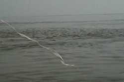 Based on Lies: It Begins by Debarshi Kanjilal