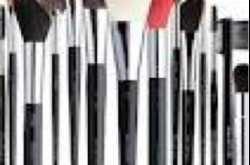Basic facts about makeup brushes and tips to maintain your brushes