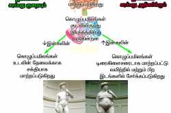 Basis of Paleo : How Fat Dissolves and What happens to that Fat that dissolves ?