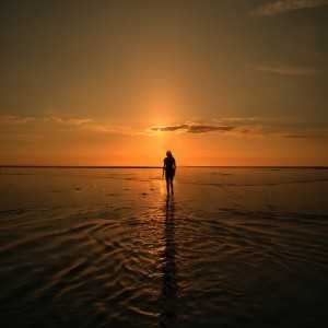 Bawra Mann - Song Of The Moment