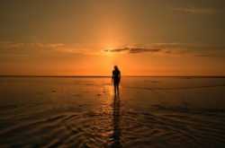 Bawra Mann - Song of the moment