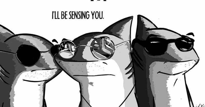 Be Sensitive And Sensible.