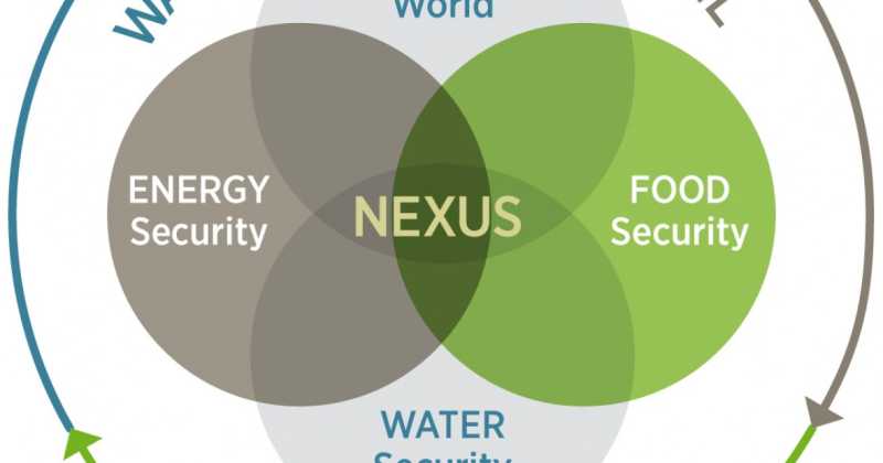 Be The Nexus