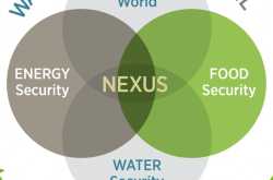 Be the Nexus