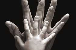 Be the Perfect Guide