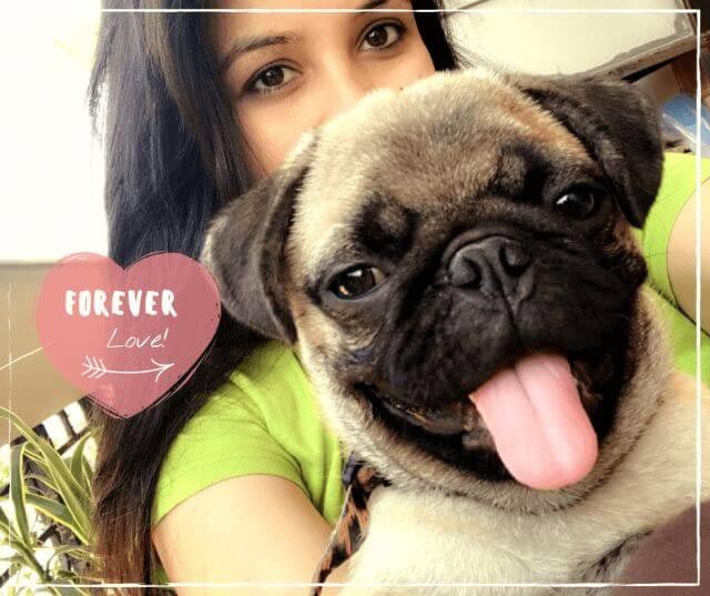 Be The Person Your Dog Thinks You Are