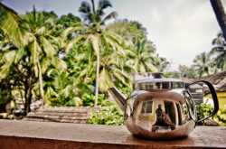 Beau-Tea-ful GOA