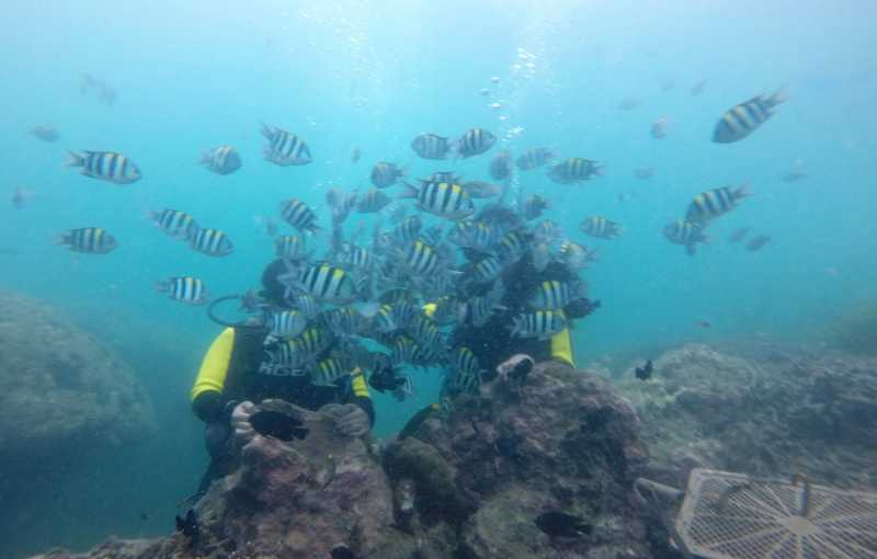 Beautiful Bali | Part 3 - What To Do