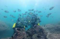 Beautiful Bali | Part 3 - What to do