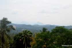 Beautiful Kerala #115