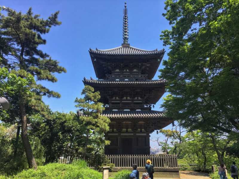 Beautiful Sankeien Gardens In Kanagawa (Yokohama)