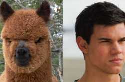 Because every girl has had a post featuring \