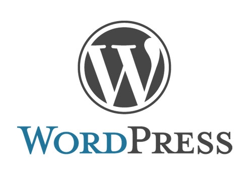 Beginners Guide To Creating The Perfect WordPress Website