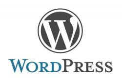 Beginners Guide To Creating The Perfect WordPress Website