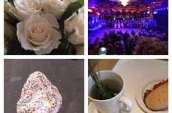 behind the blog: week 12 2014