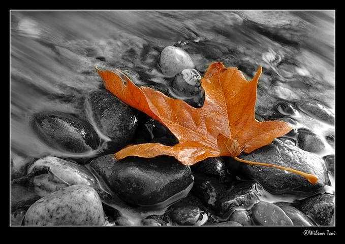 Being Xenon #ATOZCHALLENGE #1000SPEAK