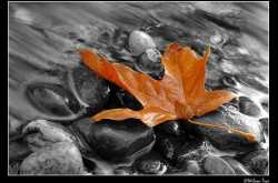 Being Xenon #ATOZCHALLENGE #1000SPEAK