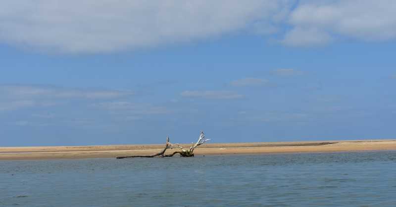 Being The Lovely Parent!