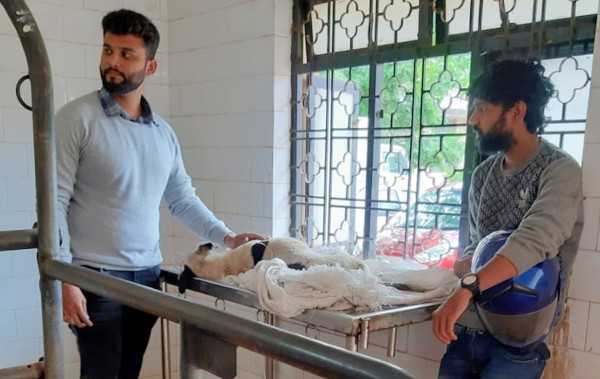 Belagaum Animal Rescue And Care (BARC) Organization Belagavi - All About Belgaum