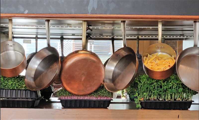 Bene - Sheraton Grand, Bangalore: A Finely Curated Italian Affair - Rashminotes