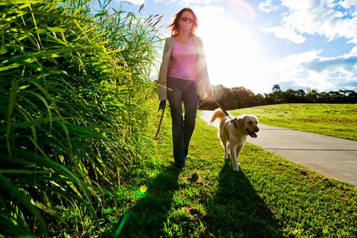 Benefits Of 10-Minute Walk Cannot Be Ignored