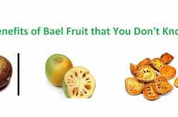 Benefits of Bael Fruit that You Don\