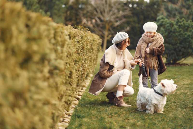 Benefits Of Having A Pet For Senior Citizens -