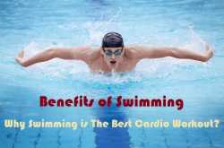 Benefits of Swimming: Why Swimming is The Best Cardio Workout?