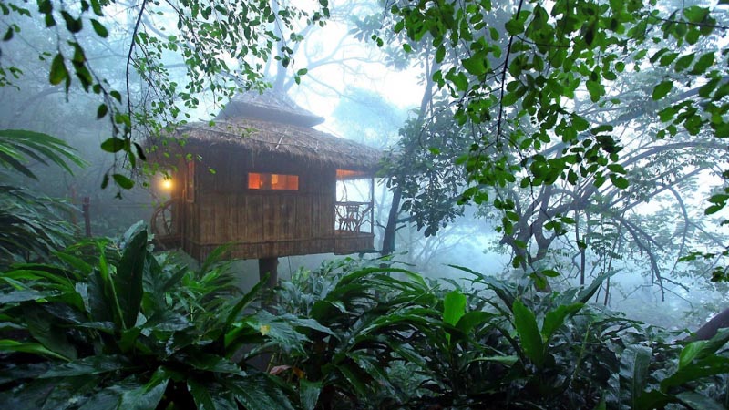 Best 10 Tree Houses In Kerala That Provide A Charming Natural Retreat Small Budget Big Trips