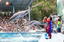 Best Attractions in Bangkok for Families - DPauls