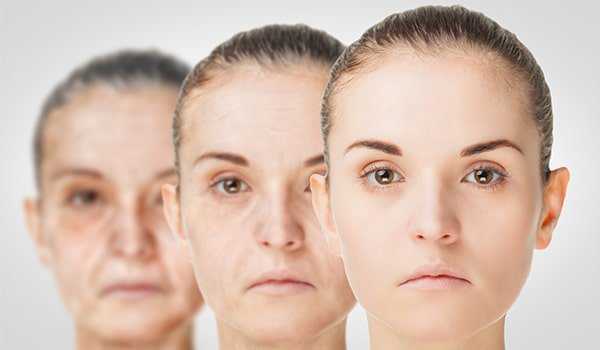 Best Ayurvedic Anti Aging Creams In India That Actually Work